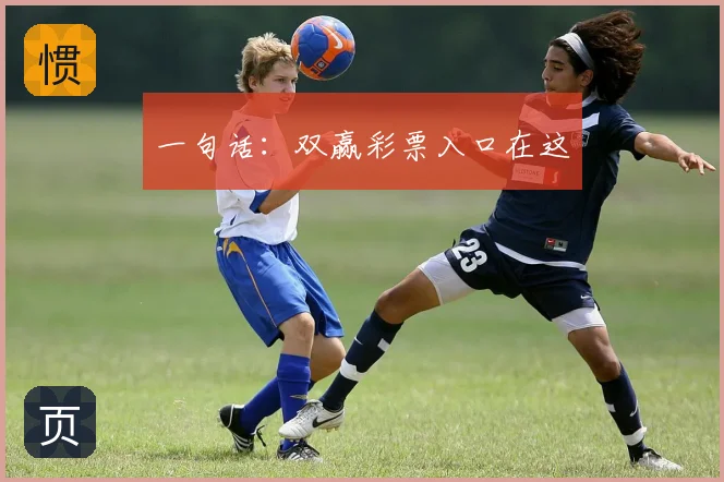 一句话:双赢彩票入口在这